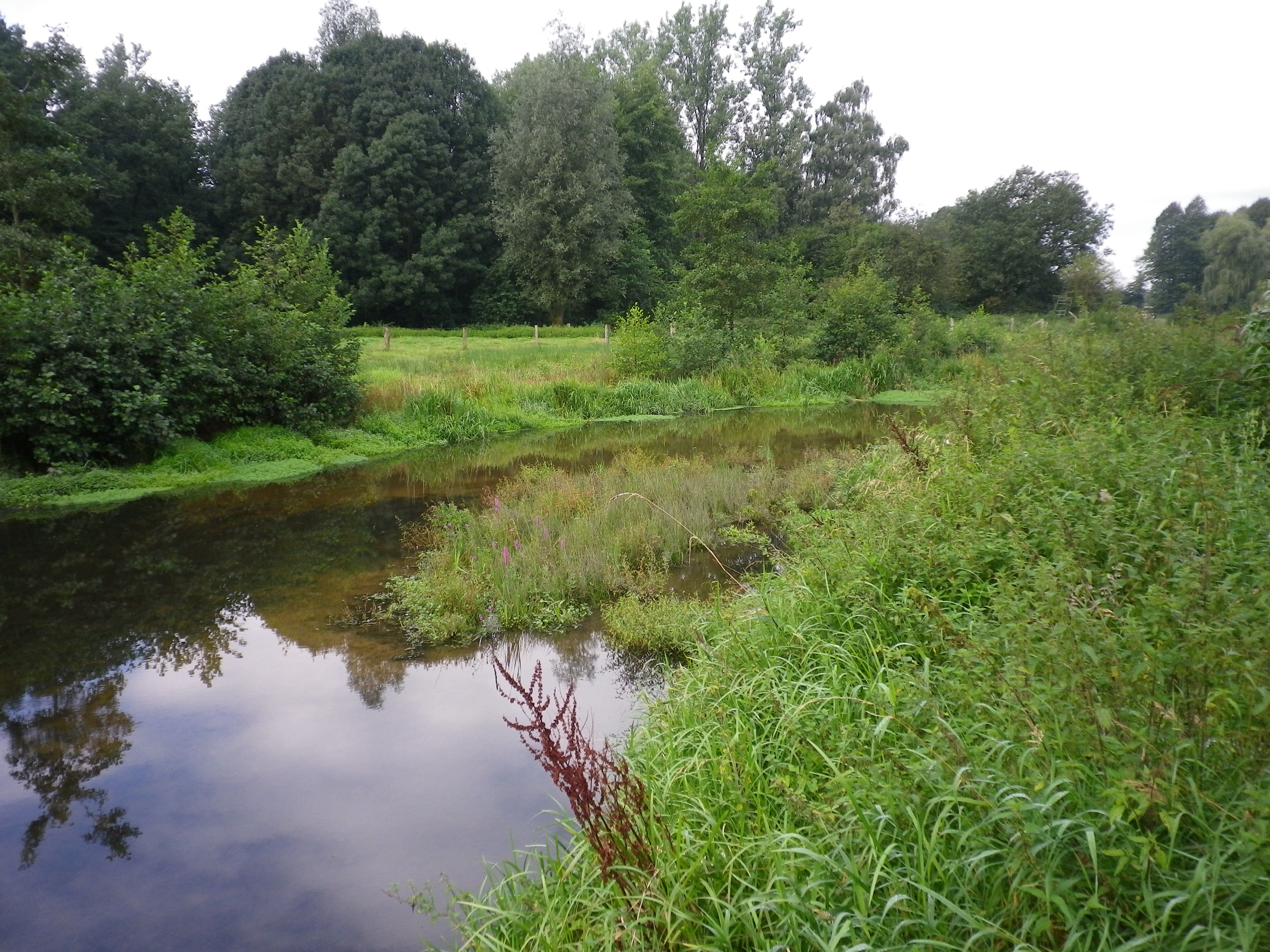 Foto: Gewässer im Kreis Kleve (Groesbecker Bach)